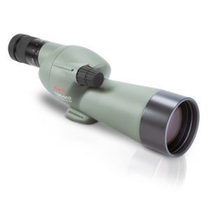 Kowa TSN 502 con oculare 20-40X