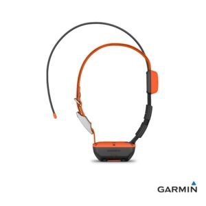 Caratteristiche tecniche e prezzi Garmin radiocollare T20K