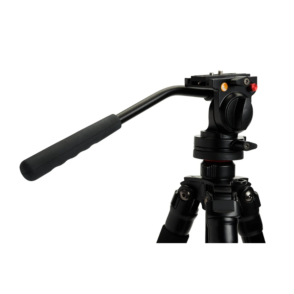 Caratteristiche tecniche e prezzi treppiede Celestron Regal Premium